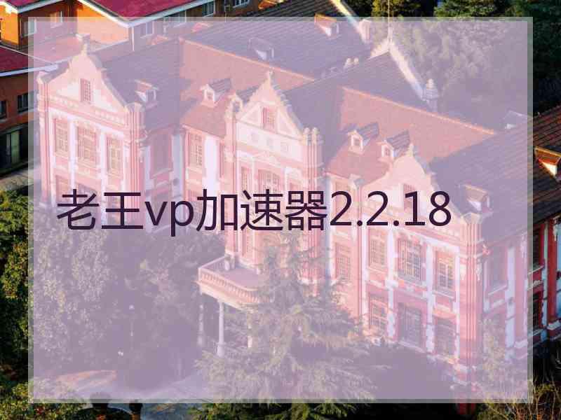 老王vp加速器2.2.18
