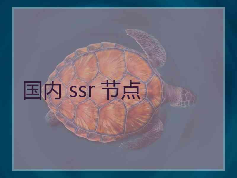 国内 ssr 节点