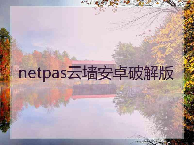 netpas云墙安卓破解版