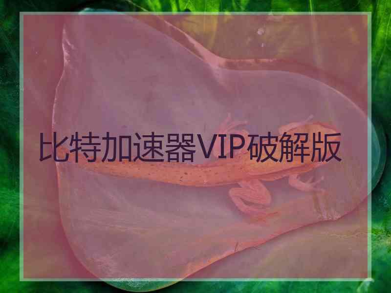 比特加速器VIP破解版
