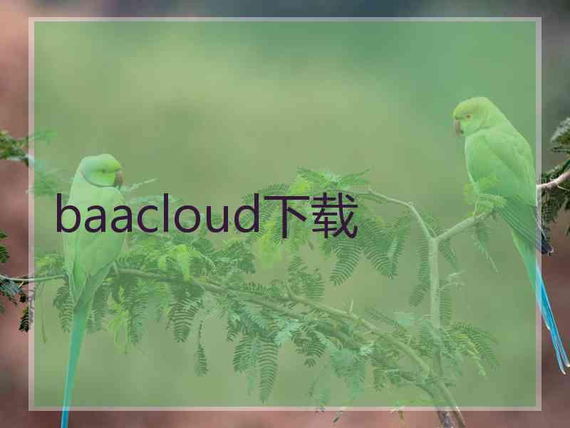baacloud下载