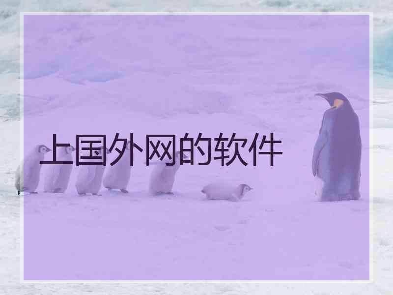 上国外网的软件