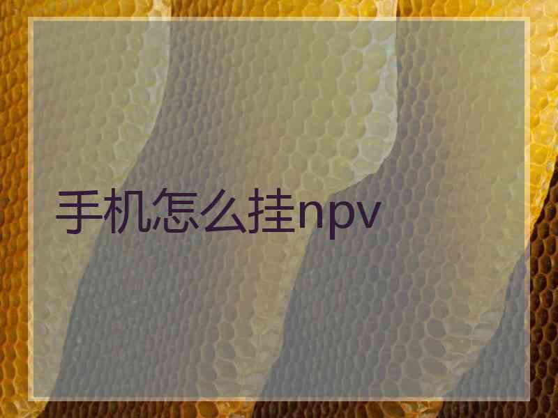 手机怎么挂npv