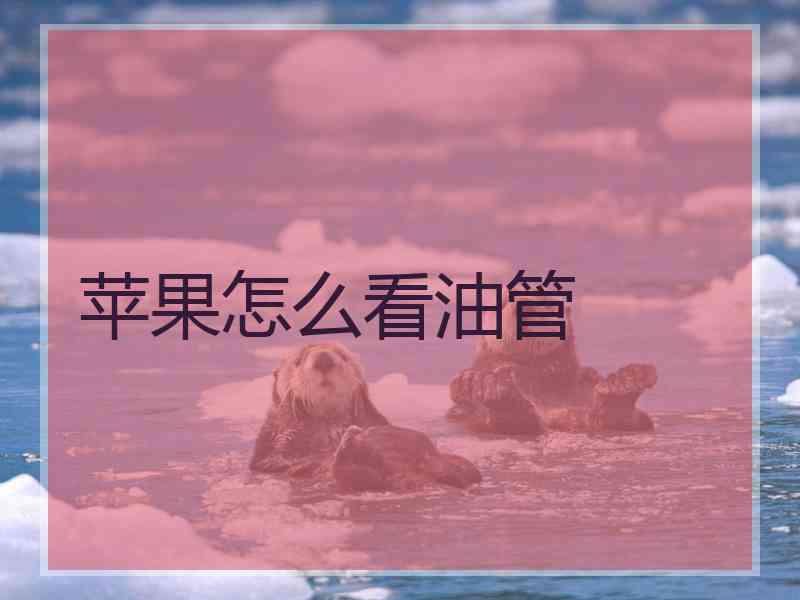 苹果怎么看油管