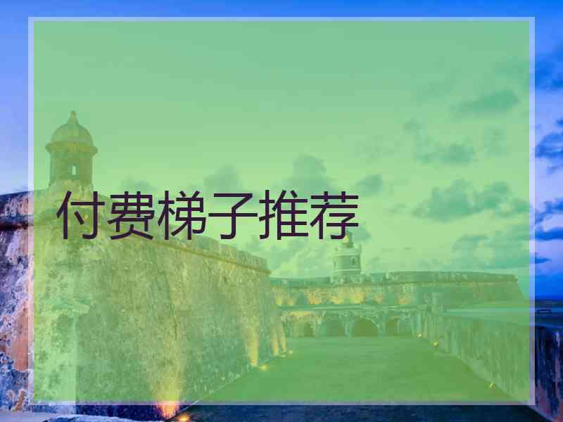 付费梯子推荐