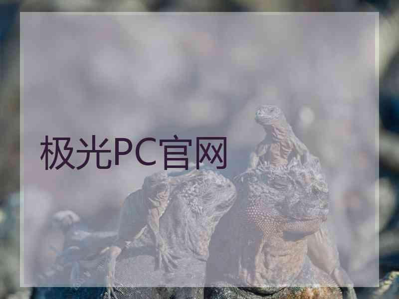 极光PC官网