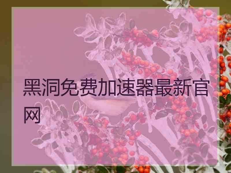 黑洞免费加速器最新官网