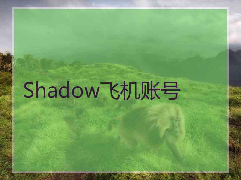 Shadow飞机账号