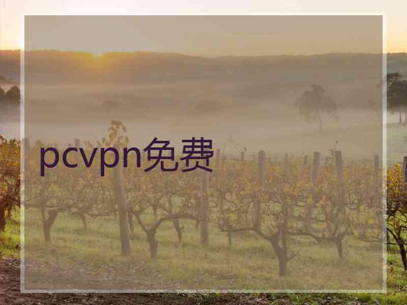 pcvpn免费