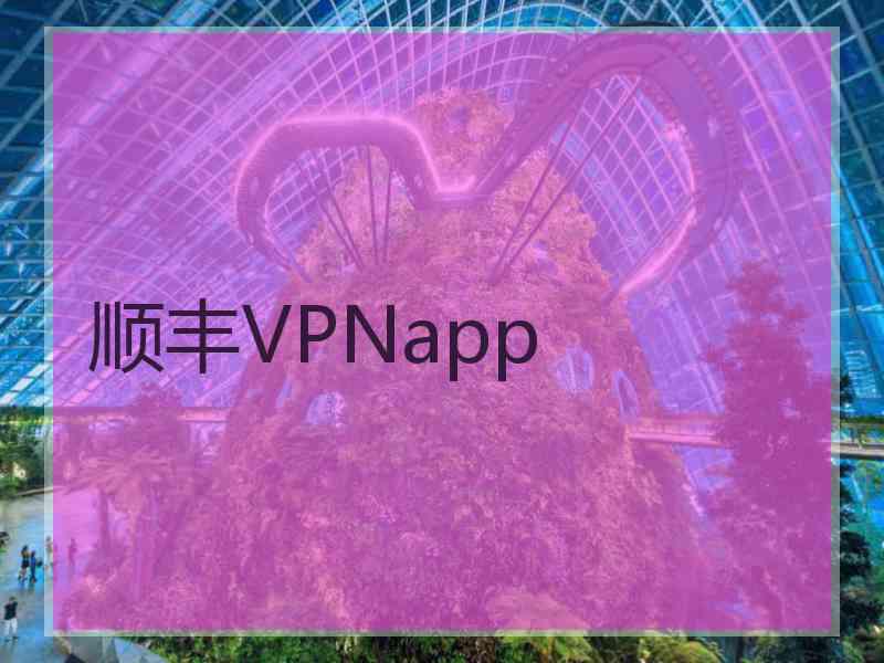 顺丰VPNapp