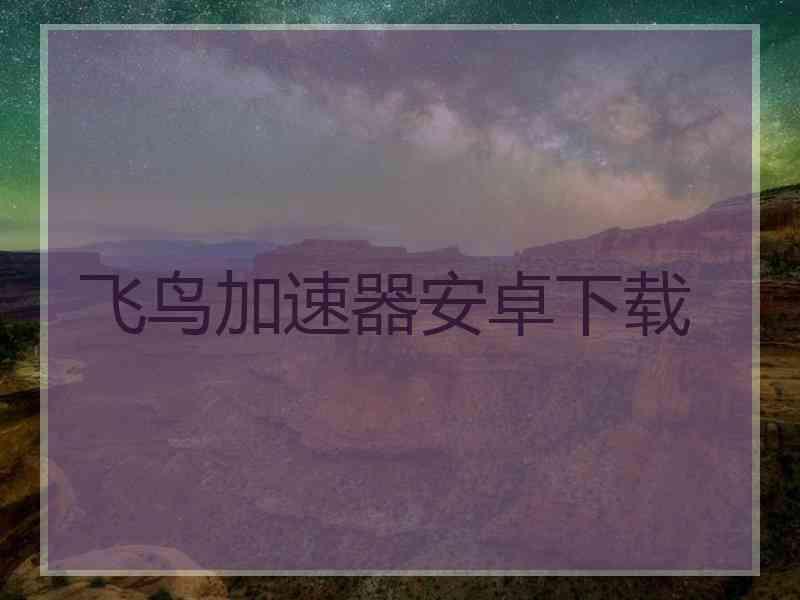 飞鸟加速器安卓下载