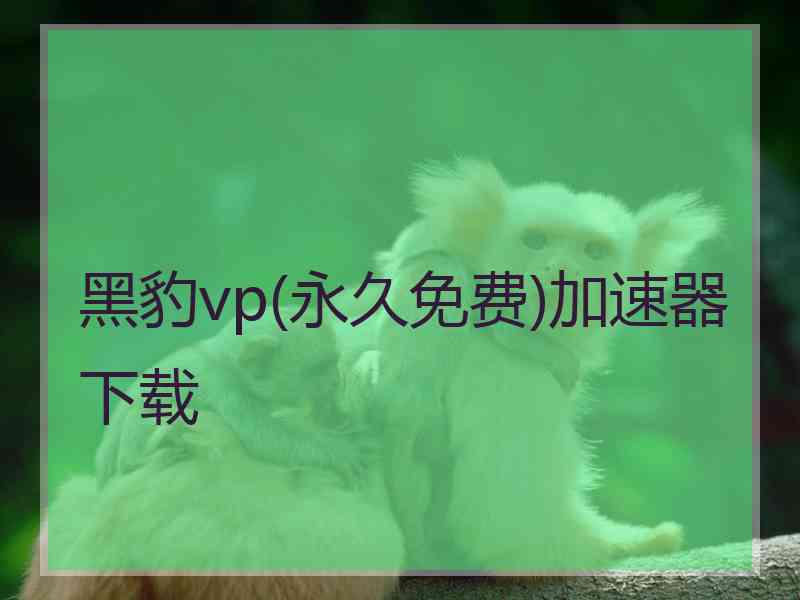 黑豹vp(永久免费)加速器下载