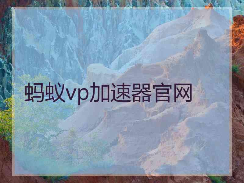 蚂蚁vp加速器官网