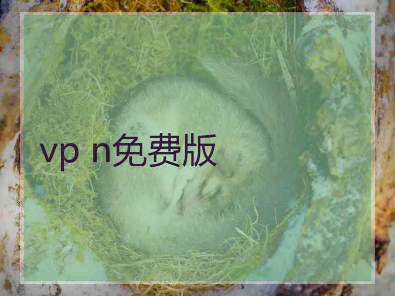 vp n免费版