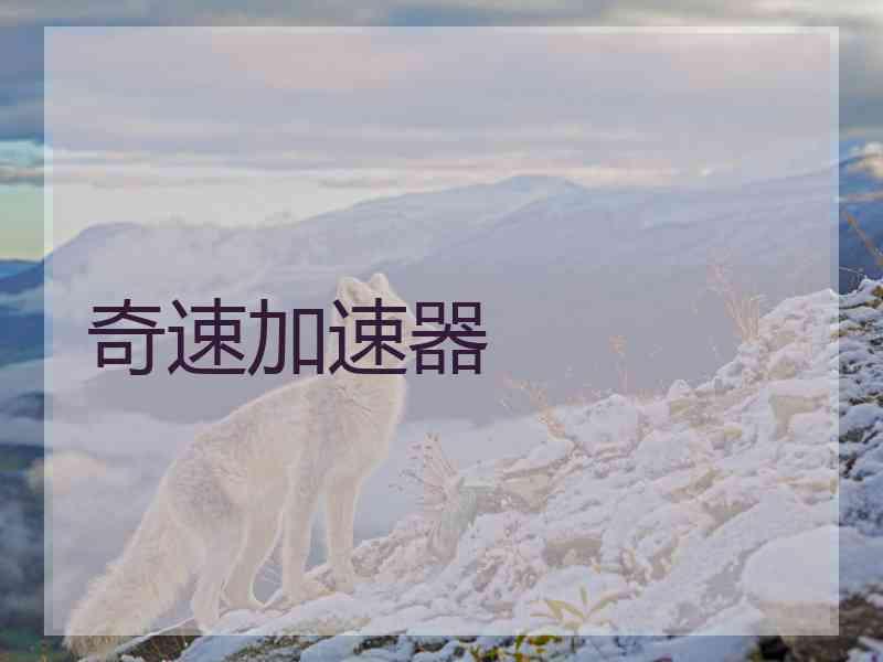 奇速加速器