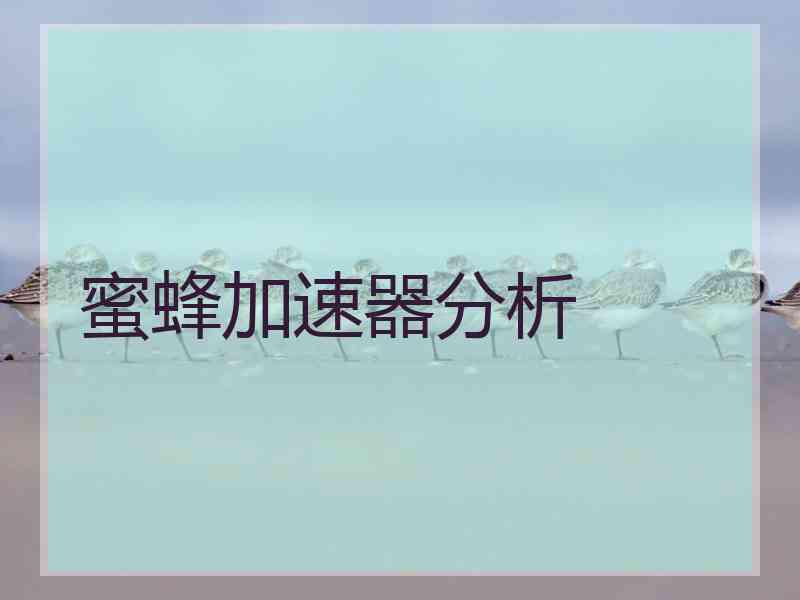 蜜蜂加速器分析