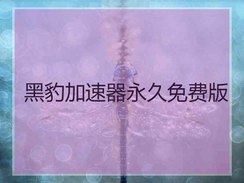 黑豹加速器永久免费版
