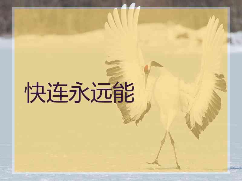 快连永远能
