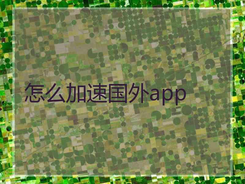 怎么加速国外app
