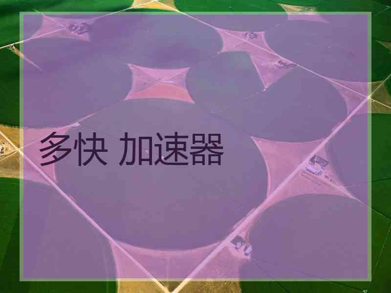 多快 加速器