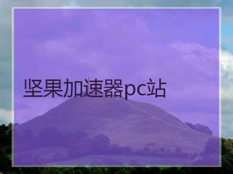坚果加速器pc站
