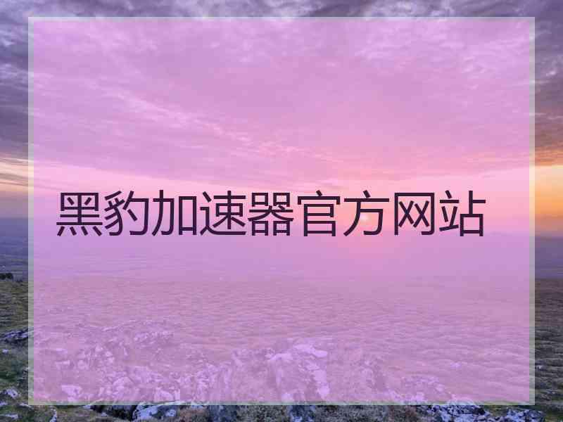 黑豹加速器官方网站