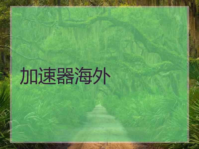 加速器海外