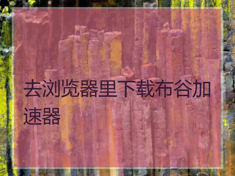 去浏览器里下载布谷加速器
