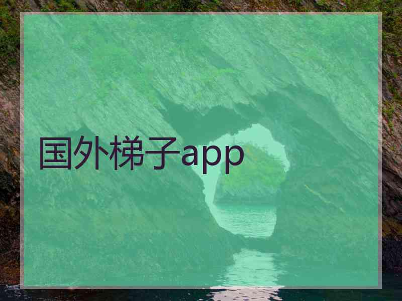 国外梯子app