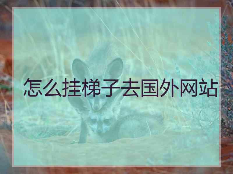 怎么挂梯子去国外网站