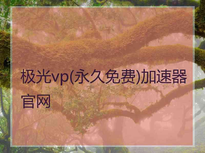 极光vp(永久免费)加速器官网