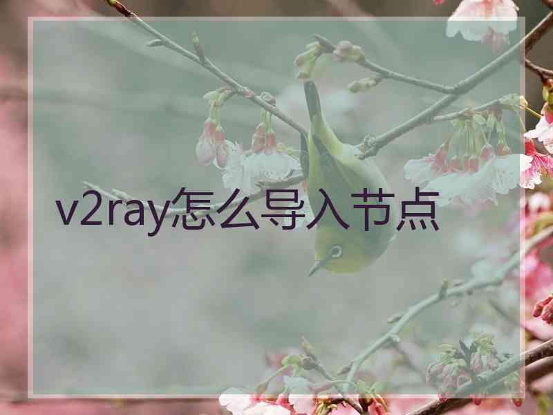 v2ray怎么导入节点