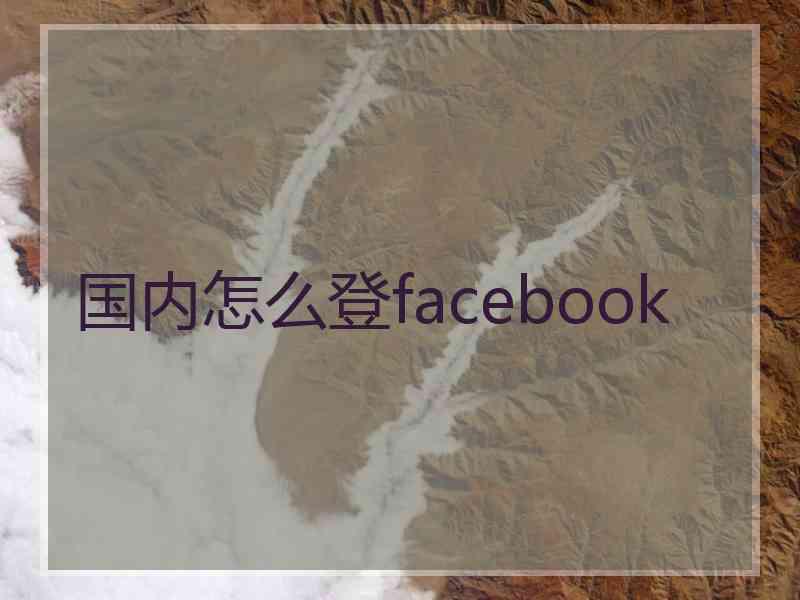 国内怎么登facebook