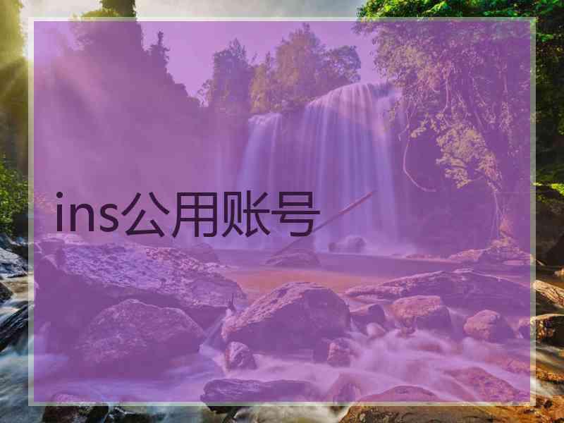 ins公用账号