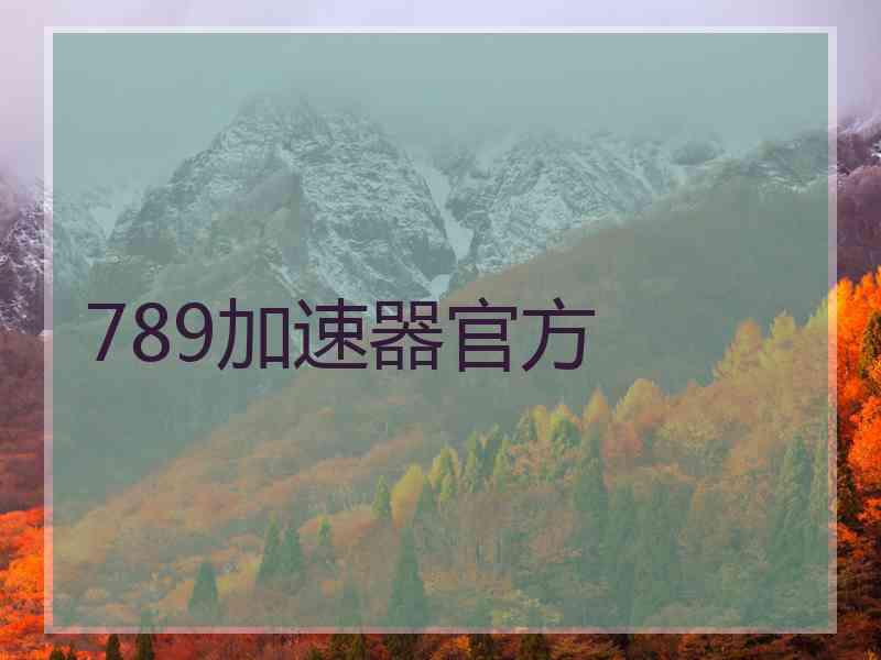 789加速器官方