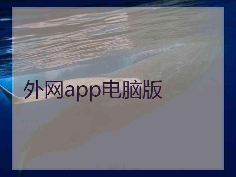 外网app电脑版
