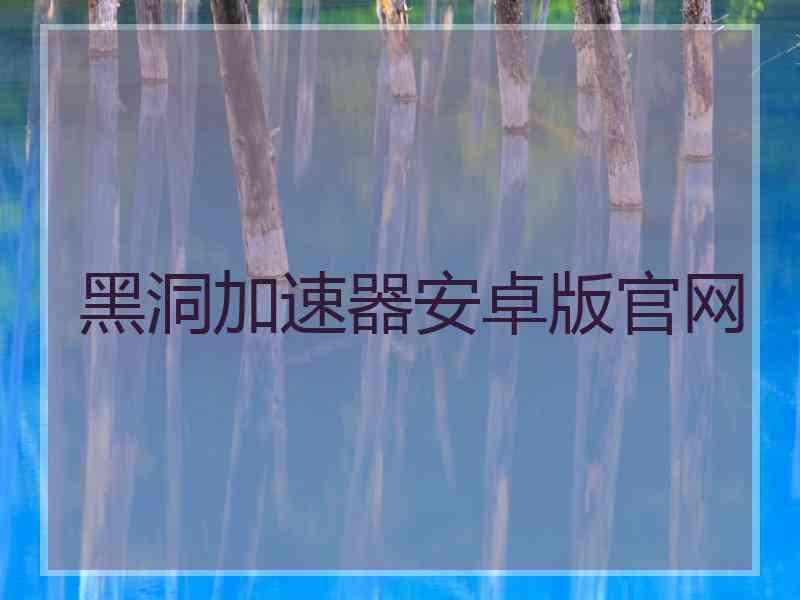 黑洞加速器安卓版官网