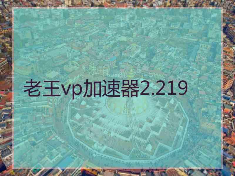老王vp加速器2.219