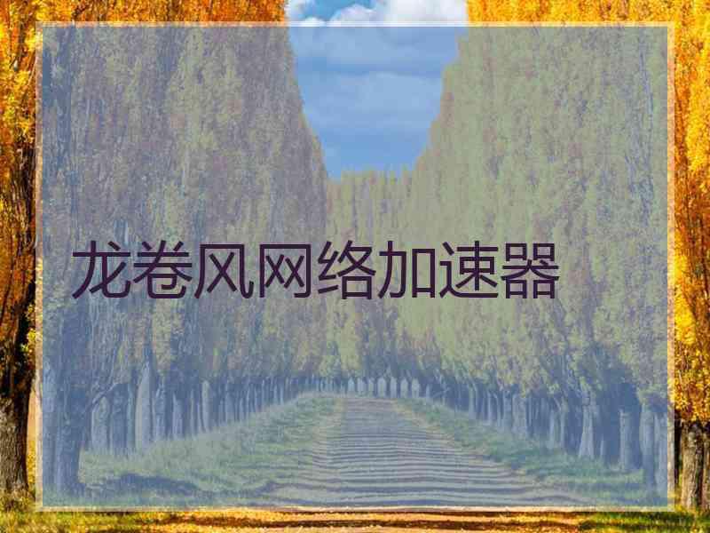 龙卷风网络加速器