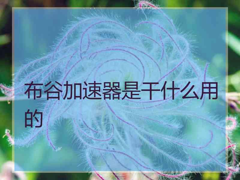 布谷加速器是干什么用的