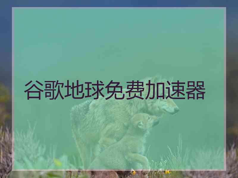 谷歌地球免费加速器