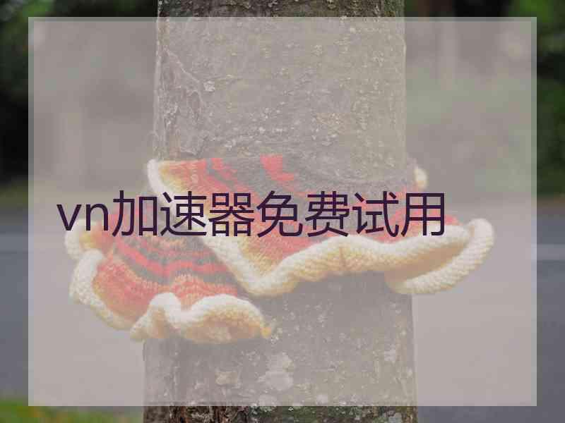 vn加速器免费试用