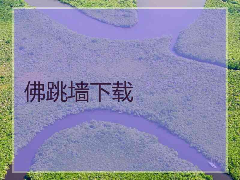 佛跳墙下载