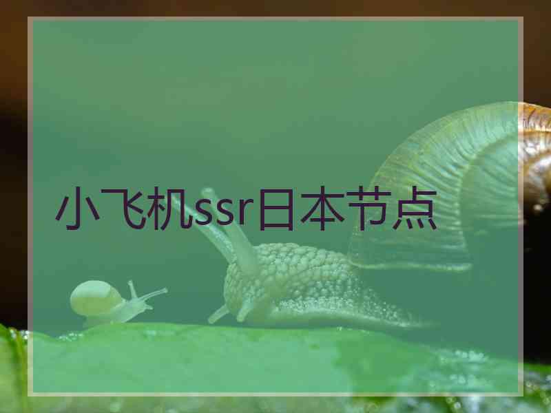 小飞机ssr日本节点