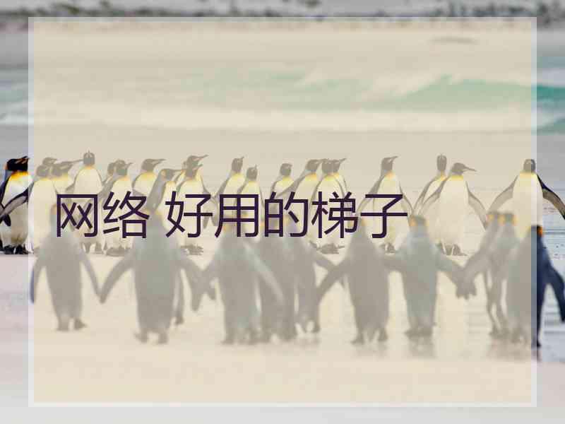 网络 好用的梯子