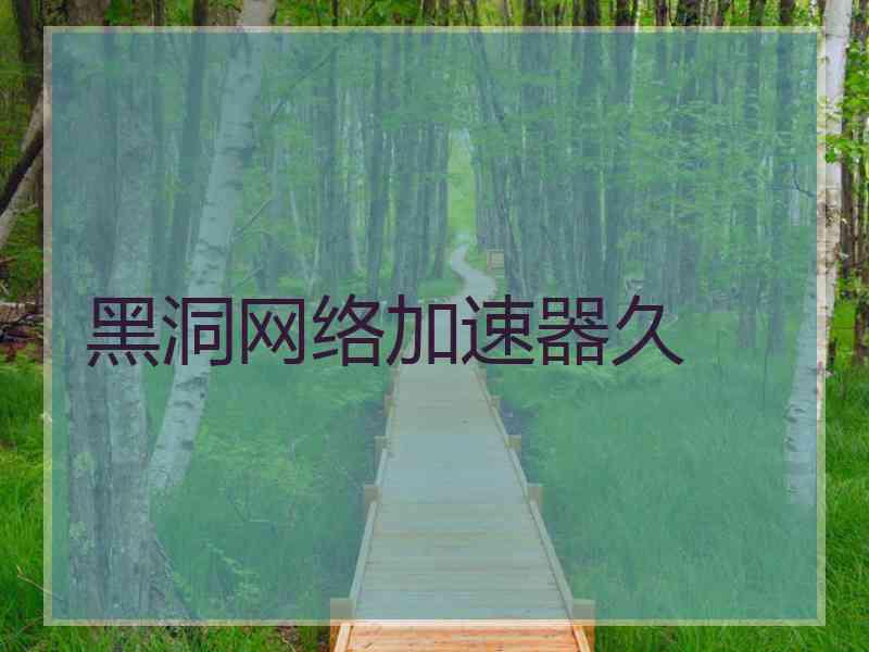 黑洞网络加速器久