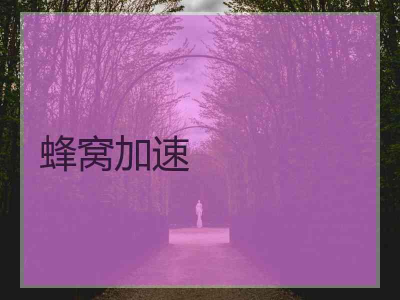 蜂窝加速