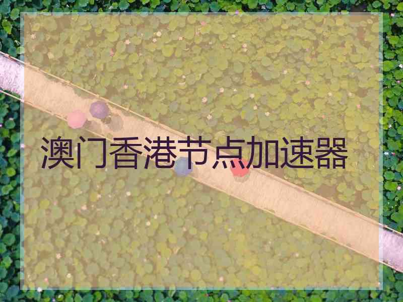 澳门香港节点加速器