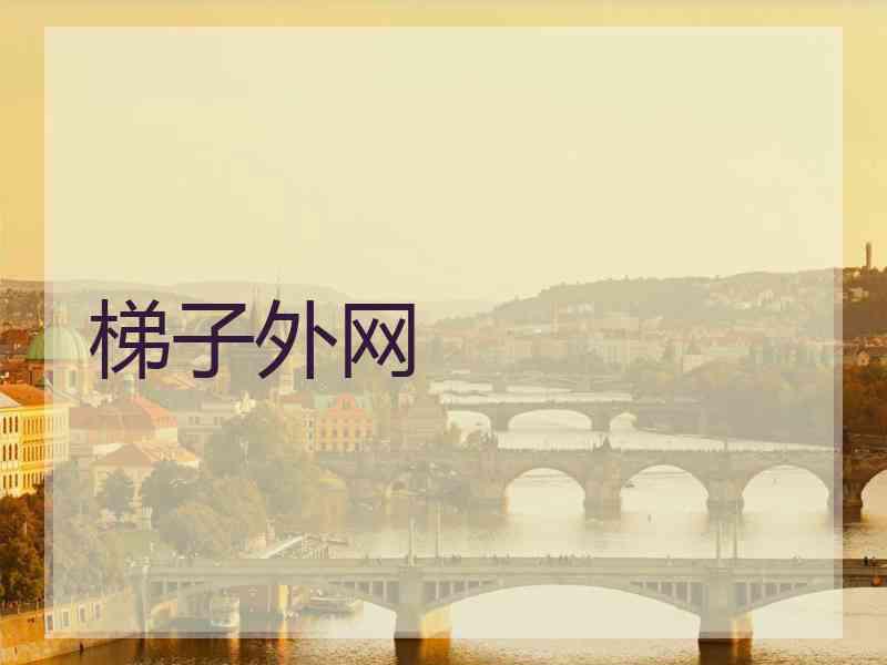 梯子外网