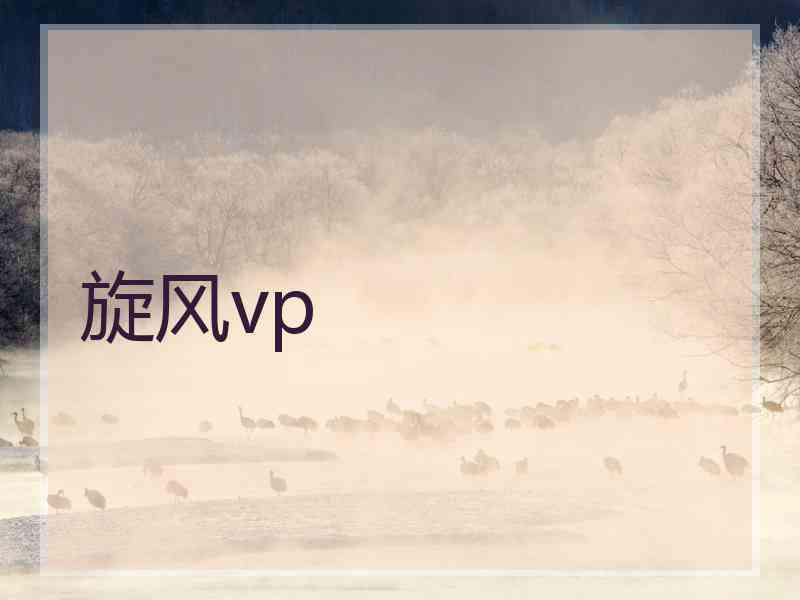 旋风vp